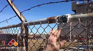 Fence That Was Not Grounded Properly